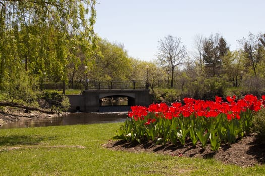 Tranquil scene of a park with a brook, trees, flower beds.