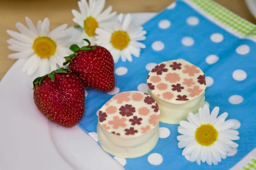 Colorful Petitsfour