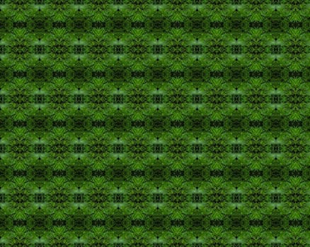 Christmas tree background