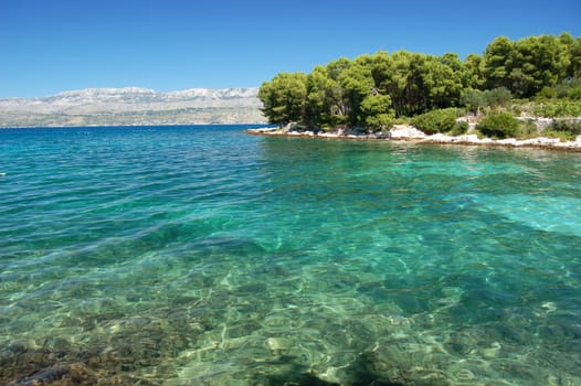 Dalmatian bay, Croatia