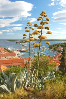 Panorama of the Old Town of Hvar, Croatia