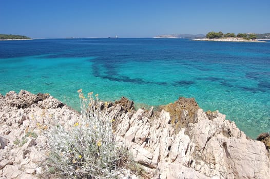 dalmatian rocky beach of adriatic sea  in croatia