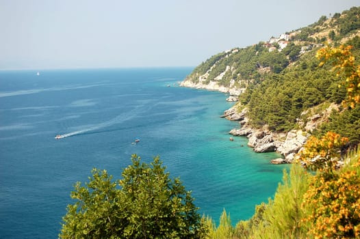 summer landscape of croatia