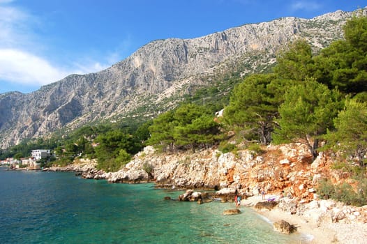 dalmatian rocky beach of adriatic sea  in croatia