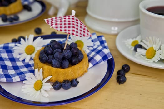 Colorful Blueberry Pie