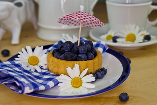 Colorful Blueberry Pie
