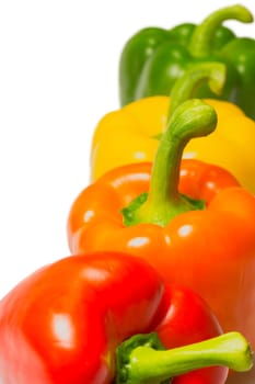 Orange, red, yellow and green peppers on a white background.
