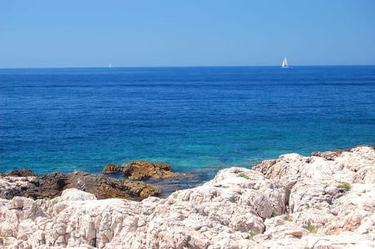 dalmatian rocky beach of adriatic sea  in croatia