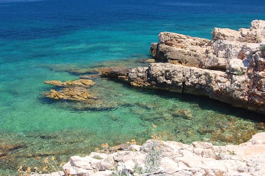 dalmatian rocky beach of adriatic sea  in croatia
