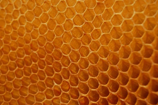 Honeycomb