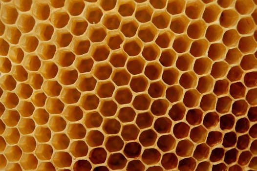 Honeycomb
