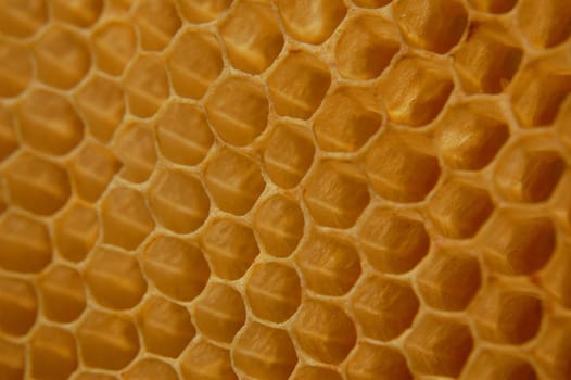 Honeycomb