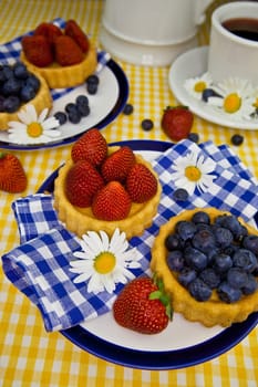 Colorful fruit cakes