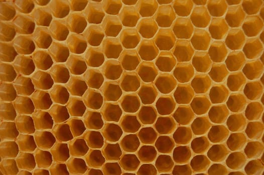 Honeycomb