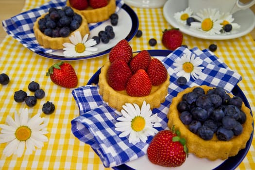 Fresh Fruitcake