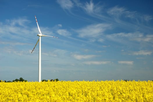 Wind turbine on field of oil rapeseed