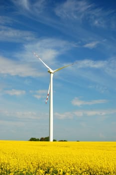 Wind turbine on field of oil rapeseed