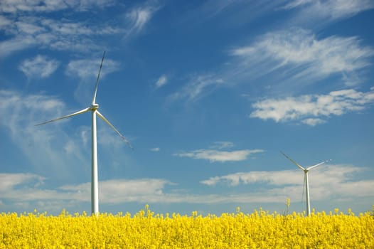 Wind turbine on field of oil rapeseed