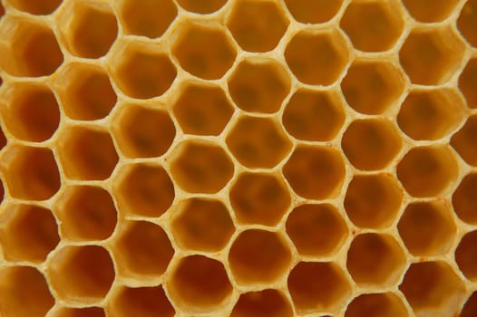 Honeycomb