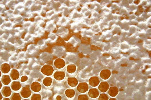 Honeycomb