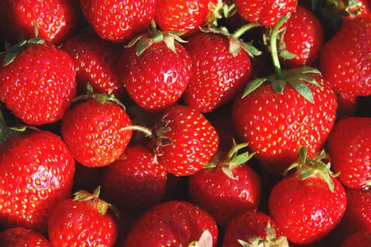 Fresh strawberries