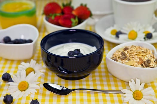 Yoghurt with blueberries