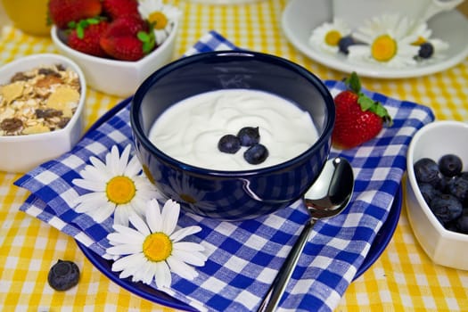 Yoghurt with blueberries
