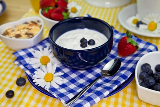 Yoghurt with blueberries