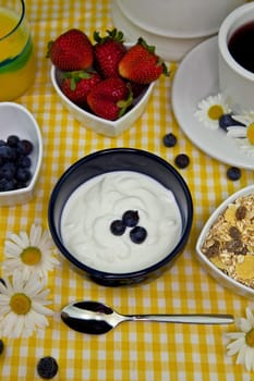 Yoghurt with blueberries