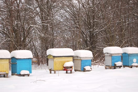 apiary in winterime