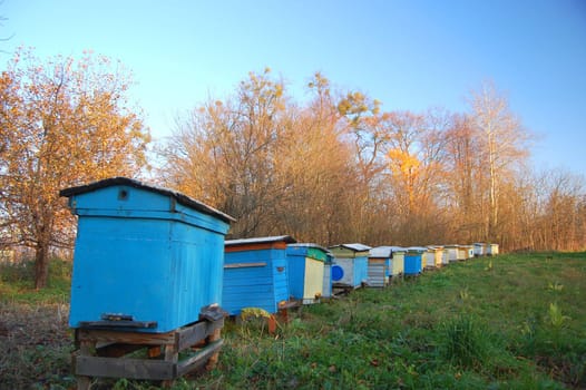 Apiary in the autumn