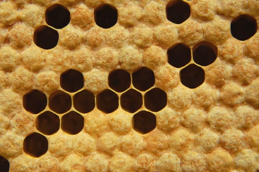Honeycomb