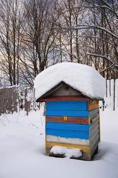 apiary in winterime