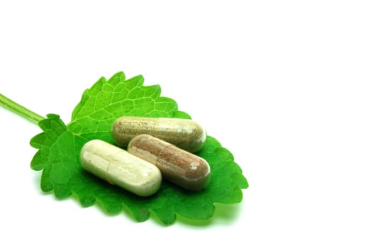 Herbal capsules on melisa leaf