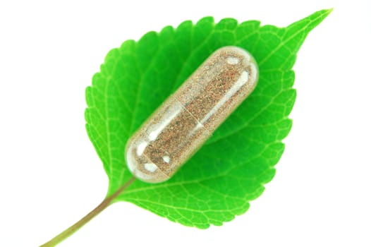 herbal capsule on sage leaf