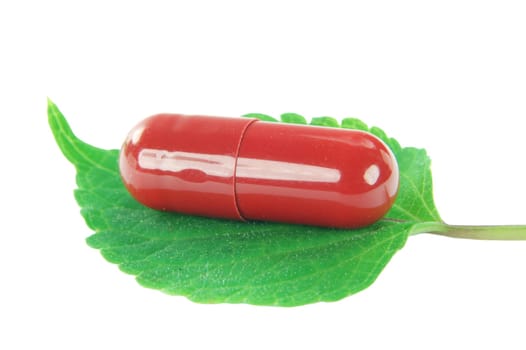 herbal capsule on sage leaf