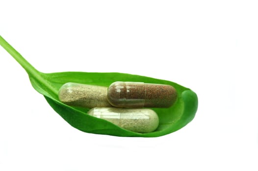 Herbal capsule in basil leaf
