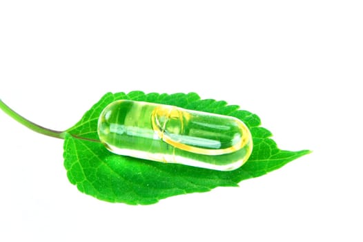 herbal capsule on sage leaf