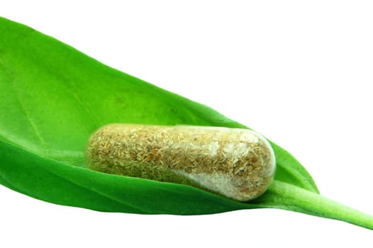 Herbal capsule in basil leaf