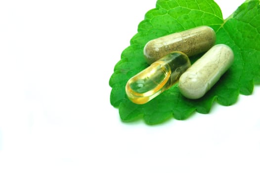 Herbal capsules on melisa leaf