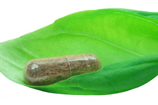 Herbal capsule in basil leaf