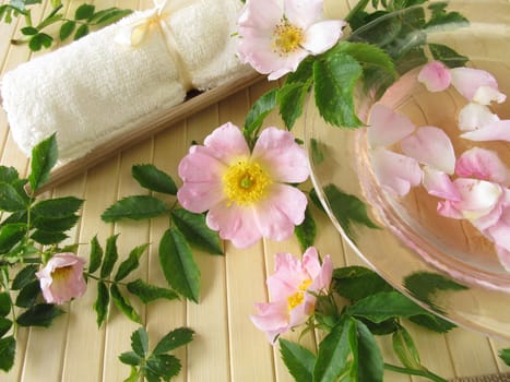 Bath tea with wild roses