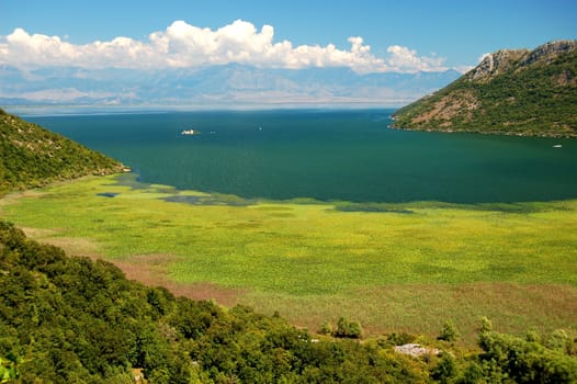 Skadar Lake, Montenegro
