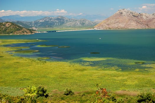 Skadar Lake, Montenegro