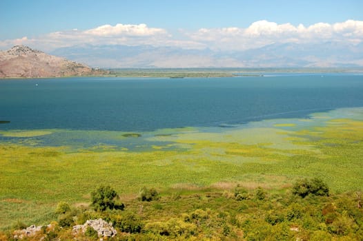 Skadar Lake, Montenegro