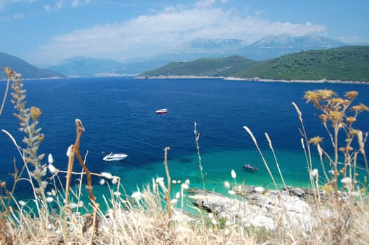 summer landscape of montenegro