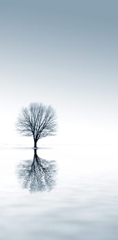 winter snow and a single tree with reflection
