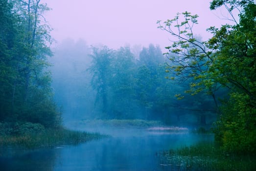 pink morning mist on the local river