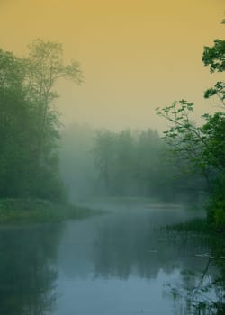 morning mist on my river in the first rays of light