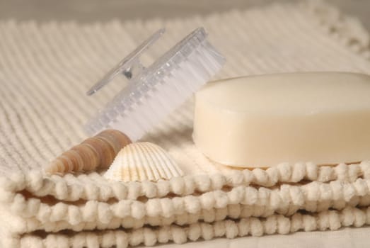 soap and sponge
